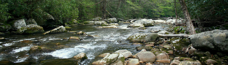 Beautiful River in the Great Smoky Mountains